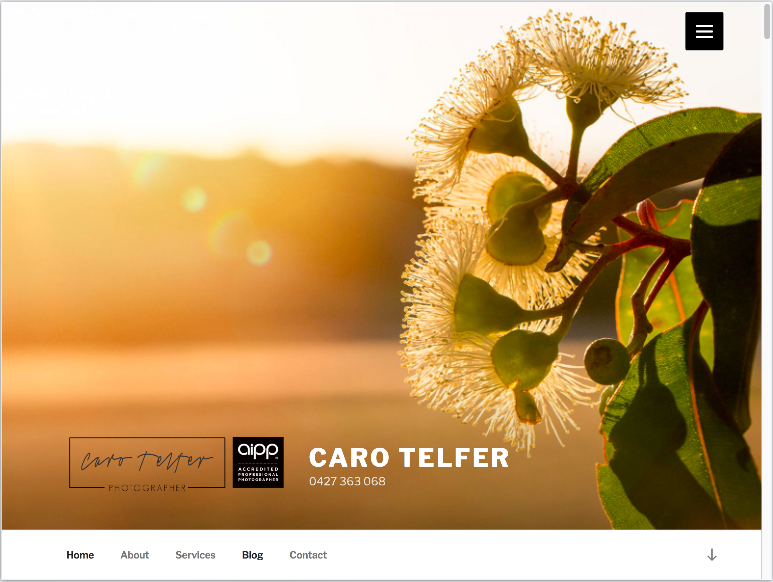 image of screenshot of website featuring gum blossom in golden light with logo and phone number for Caro Telfer Photographer. 